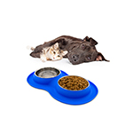 Cat Feeding Bowl & Feeder